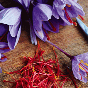 Saffron origin