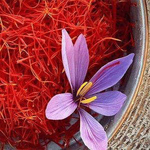 buy real saffron online