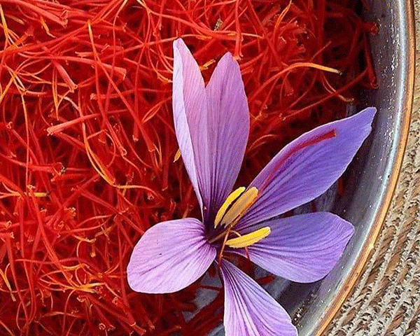 buy real saffron online