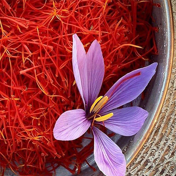 Where to Buy Authentic Saffron Online Without Getting Scammed + Where to buy real saffron