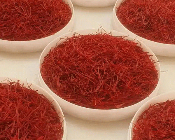 saffron daily dosage