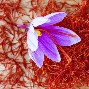 Organic saffron vs conventional