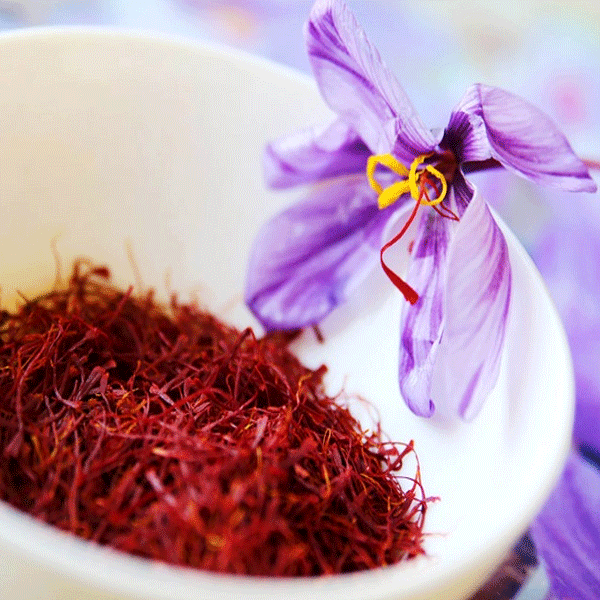 the Surprising History of Saffron in Ancient Persia and Greece
