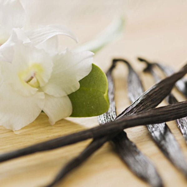 How Vanilla Is Graded and Sorted Before Export