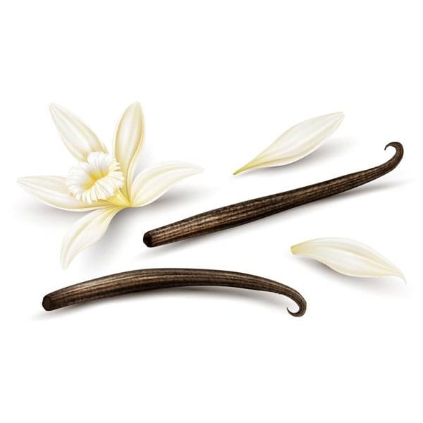 The Vanilla Market in 2026: What Buyers Should Expect