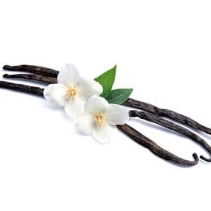 vanilla orchid facts