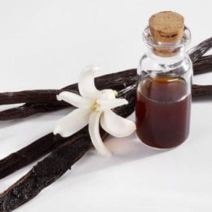 vanilla history origin