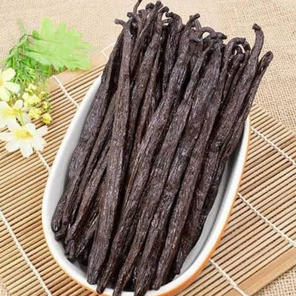Does Vanilla Go Bad? Storing Pods and Extract Properly