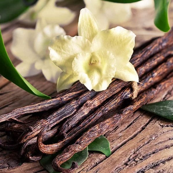 The Best Substitutes for Vanilla When You Have None