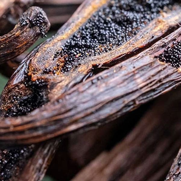 Edmond Albius: The Twelve-Year-Old Who Made Vanilla Possible