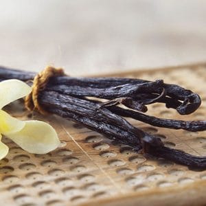 madagascar vanilla