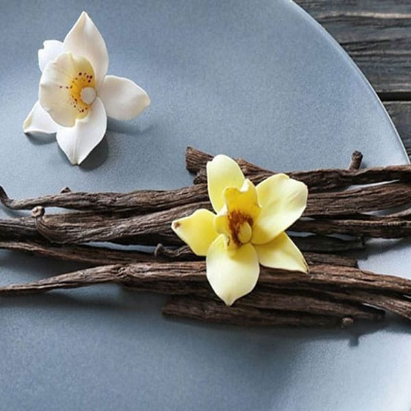 Vanilla Grades Explained: Grade A vs Grade B and What You Pay For