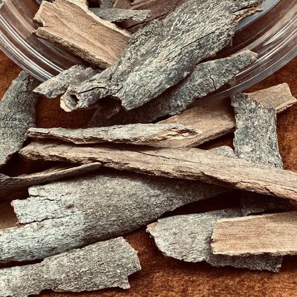 Cinnamon Powder vs Sticks: Which Should You Buy?