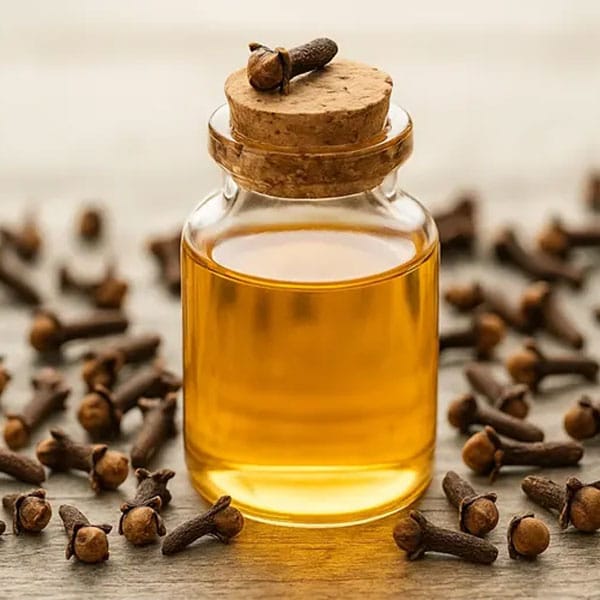 clove oil side effects