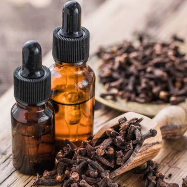 Clove Health Claims: Which Ones Have Evidence Behind Them
